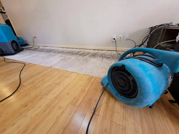 Professional Structural Drying technician working in Murray, KY